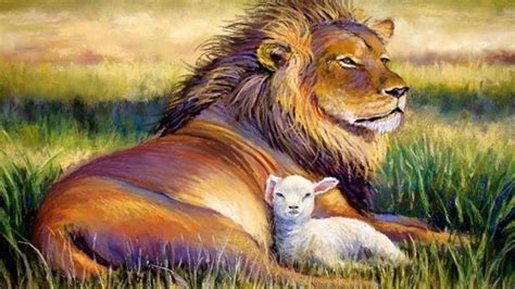 lion and lamb screensavers.